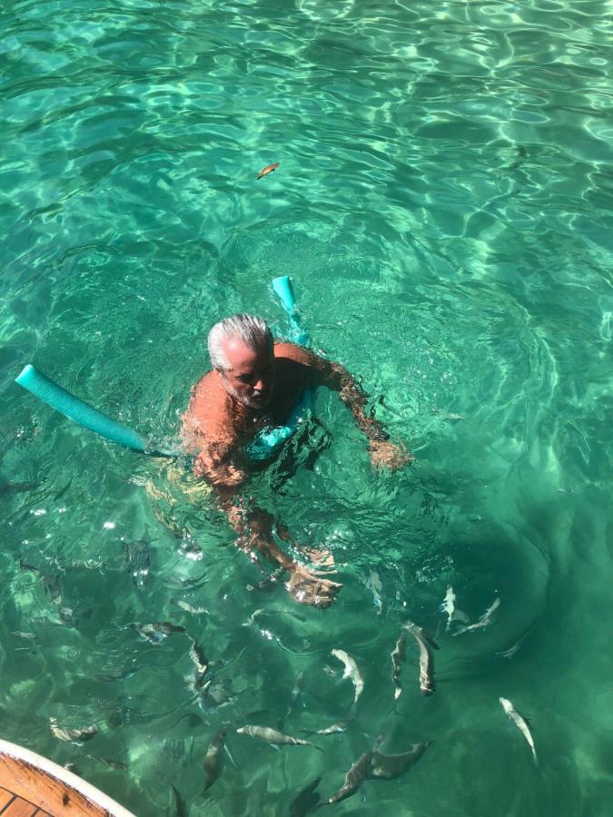 Flat Eco Flora Daire Angra dos Reis Dış mekan fotoğraf